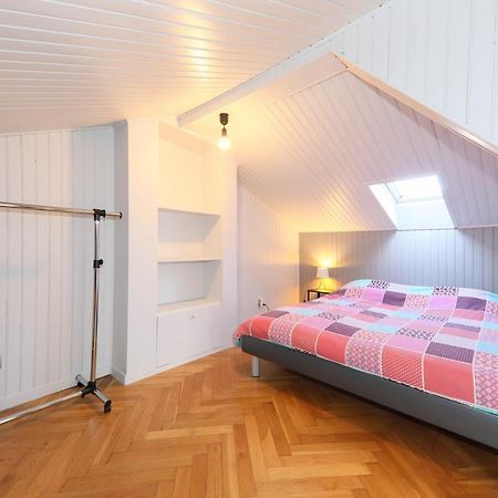Duplex Atypique Proche Gare & Centre Ville Mulhouse Eksteriør billede